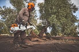 CONSULTAR OFERTAS EN TEMPORADA DE SEPTIEMBRE A ENERO